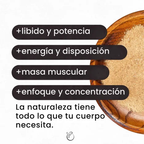 MACA