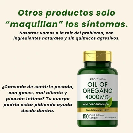 OIL NWE