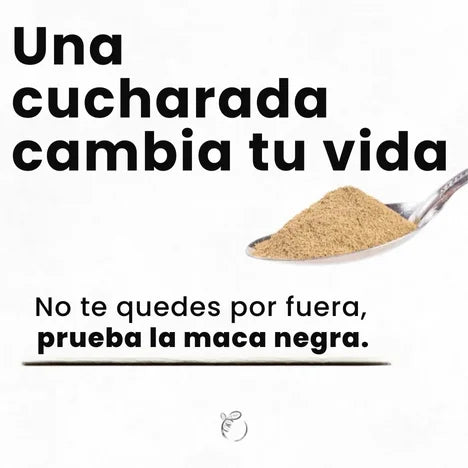 MACA